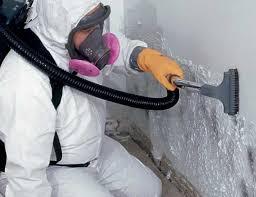 Reliable Meadow Glade, WA Mold Removal Solutions